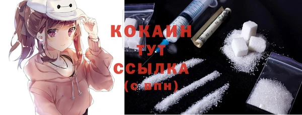 индика Балахна