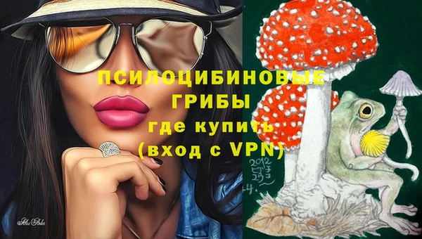 индика Балахна