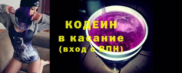 индика Балахна