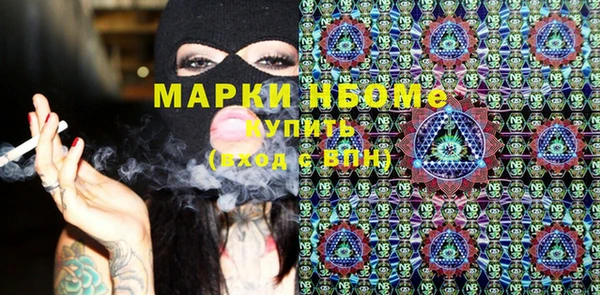 индика Балахна