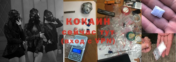 индика Балахна